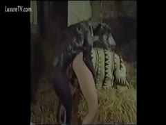 An 18-year-old virgin learns how to have enjoyable sex with a brute.